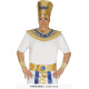 COSTUME PHARAON M