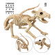 RAT SQUELETTE" 40 CM