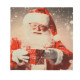 20 SERV. PERE NOËL BLC ROUGE