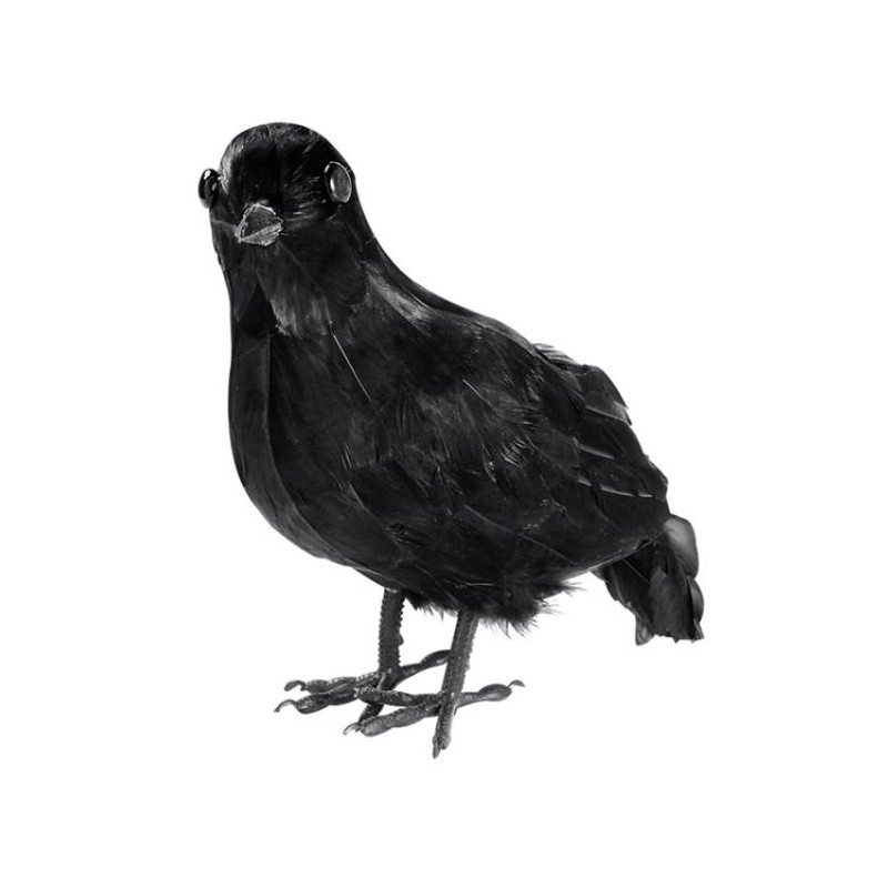 CORBEAU PLUMES
