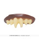 CANINES VAMPIRE