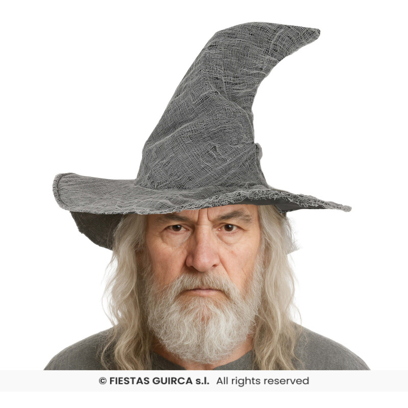 CHAPEAU DE SORCIER GRIS