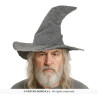 CHAPEAU DE SORCIER GRIS
