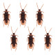 SET 6 CAFARDS (2.5 X 7.5 CM)