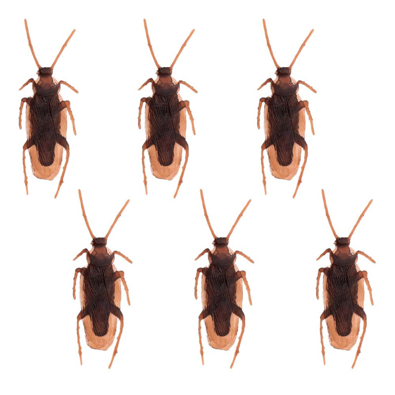 SET 6 CAFARDS (2.5 X 7.5 CM)