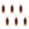 SET 6 CAFARDS (2.5 X 7.5 CM)