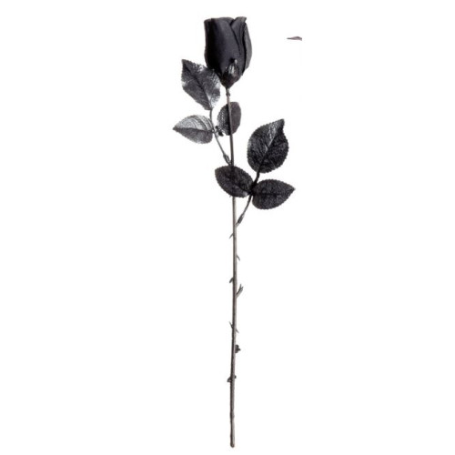 ROSE NOIRE