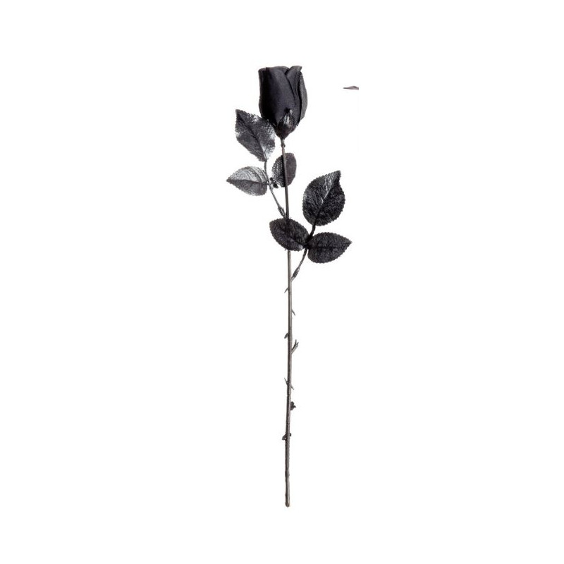ROSE NOIRE
