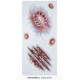 TATOUAGE MORSURES