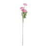 BRANCHE RENONCULES ROSE 80CM -