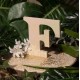 LETTRE EN BOIS "F" A DECORER