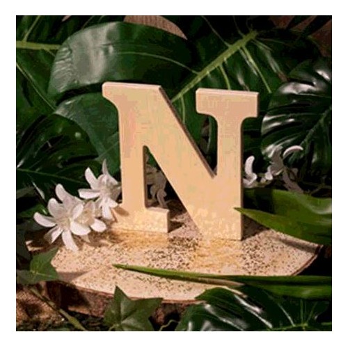 LETTRE EN BOIS &quot;N&quot; A DECORER