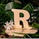 LETTRE EN BOIS "R" A DECORER