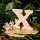 LETTRE EN BOIS "X" A DECORER