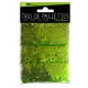 TRIO PAILLETTES VERT NUANCE