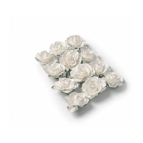 12 ROSES BLANCHE/TIGE 3.5CM