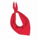 FOULARD BASQUE ROUGE