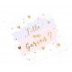 16 SERVIETTES GENDER REVEAL 33X33CM