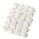 24 ROSES BLANCHES 2.1CM