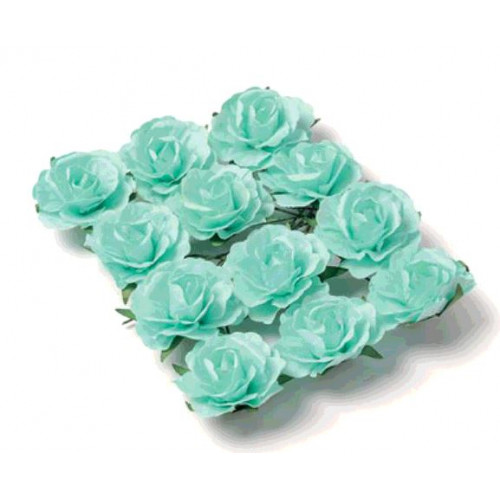 12 ROSES MENTHE/TIGE 3.5CM