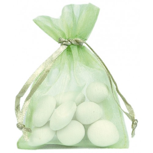 10 SAC ORGANZA VERT