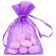 10 SAC ORGANZA PRUNE