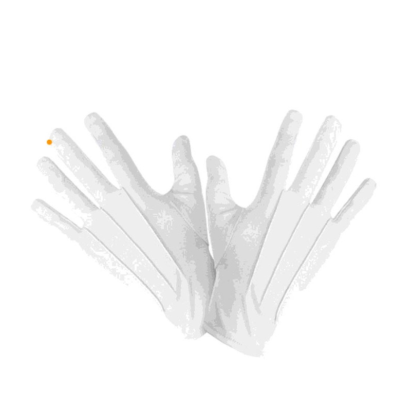 PAIRE DE GANTS BLANC