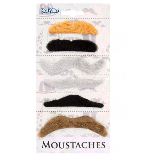 6 MOUSTACHES COLORIS NATURELS