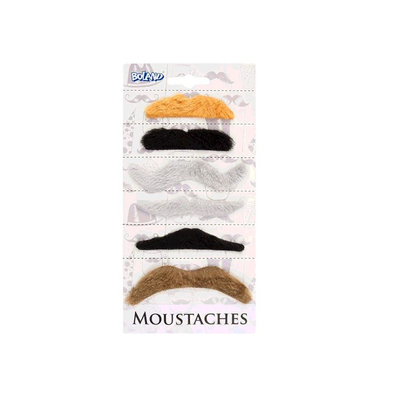 6 MOUSTACHES COLORIS NATURELS