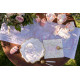 10 ASSIETTES BABY SHOWER ROSE