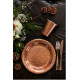 10 ASSIETTES ETINCELANTE ROSE GOLD