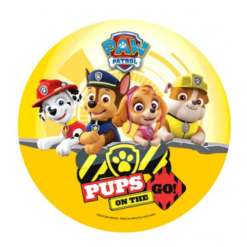 DISQUE AZYME 20CM PAW PATROL
