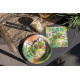 10 ASSIETTES DINOSAURE MULTICORE