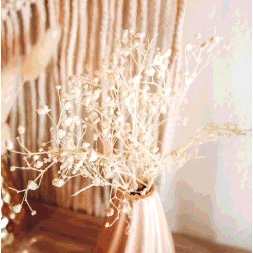 MINI BRANCHES DE GYPSOPHILE