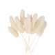 MINI BRANCHES DE CHATONS CREME