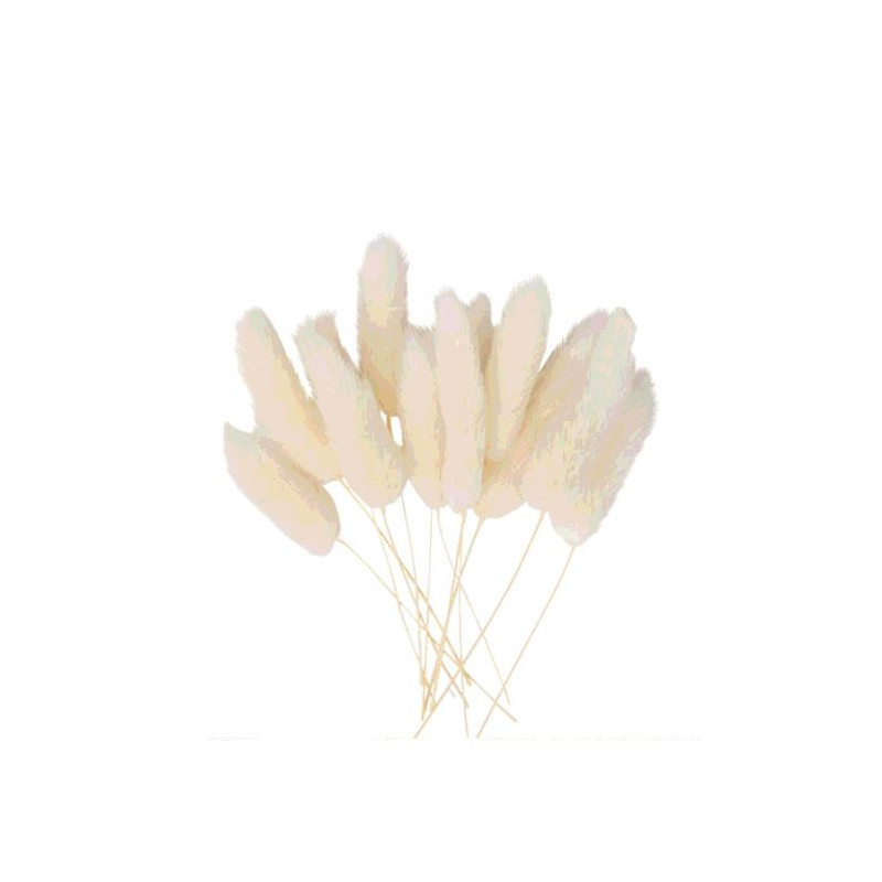 MINI BRANCHES DE CHATONS CREME