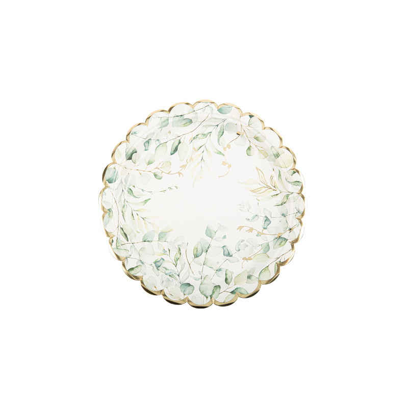 8 ASSIETTES SAUGE GREEN BLANCH