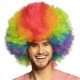 PERRUQUE CLOWN RAINBOW