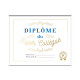 CADRE DIPLOME  DU SUPER COLLEGUE