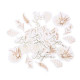 100 CONFETTIS BAPTEME PAMPAS FLEUR DE COTON ET OR