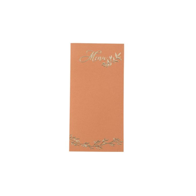 10 MENUS JOLIS BRINS TERRACOTTA