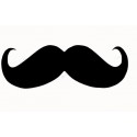 Barbe / moustache / poils